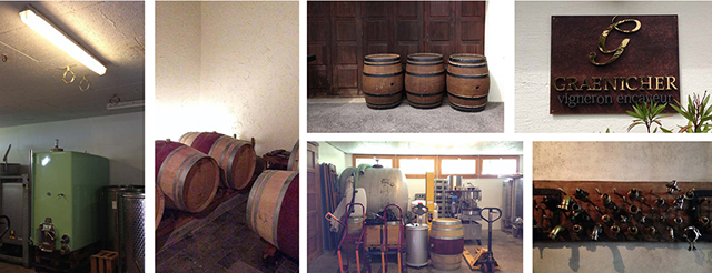 Wine production details